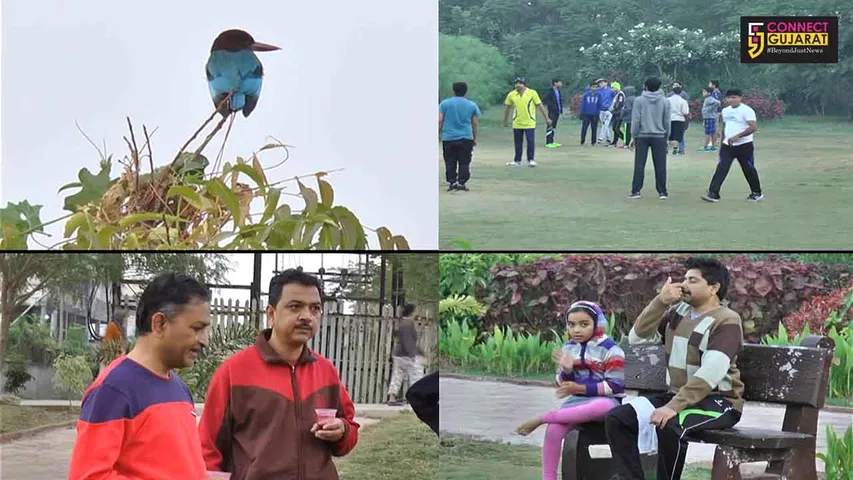 ભરૂચ: ફૂલ ગુલાબી ઠંડીમાં મોર્નિંગ વૉક માટે ગાર્ડન અને માર્ગો ઉપર દેખાય છે શહેરીજનો