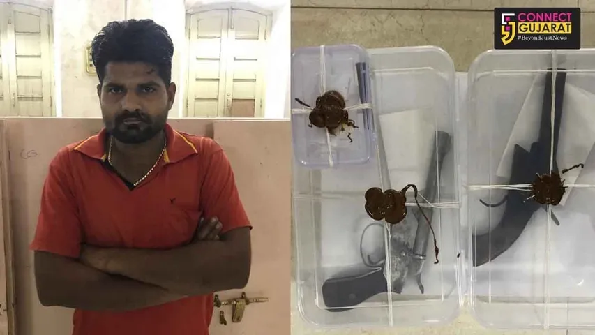 રાજકોટ : SOG  દ્વારા ગેરકાયદે હથિયારનું વહેંચાણ કરતા શખ્સની થઈ ધરપકડ