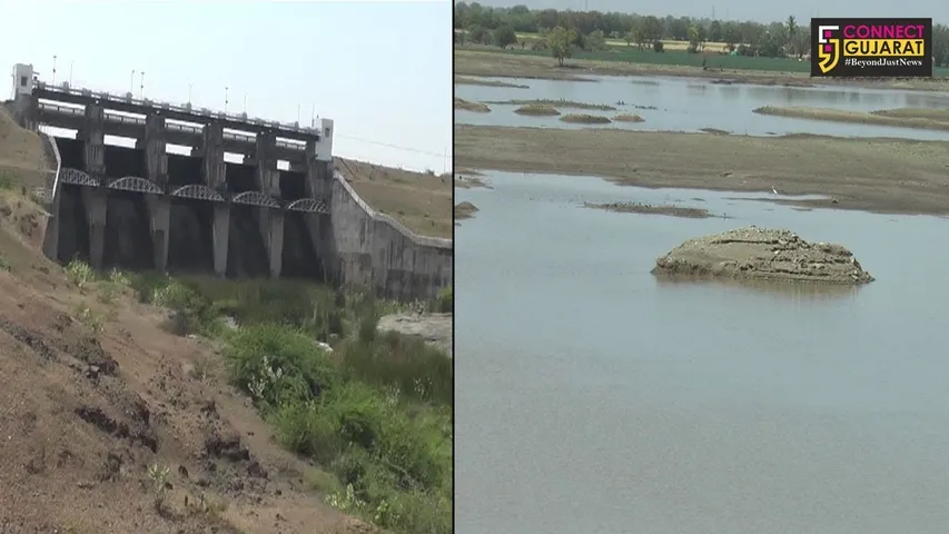 અમરેલી જિલ્લામાં ઉનાળામાં પડશે પાણીના પોકાર...! જળાશયોની સ્થિતિ દયનીય