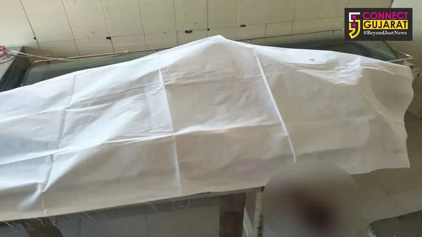 અંકલેશ્વર રાજપીપલા રોડ પર અજાણ્યા વાહનની ટકકરે ૪૦ વર્ષીય ઇસમનું મોત