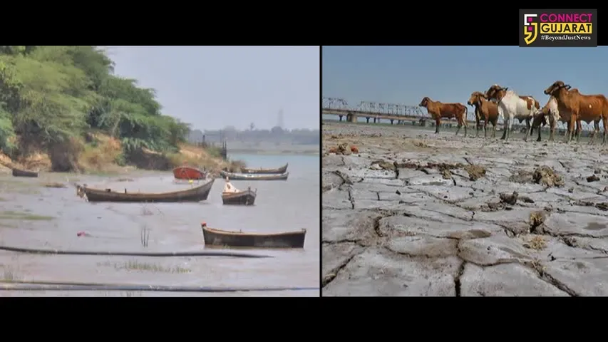 ઓછા પાણીના પગલે છવાયું નર્મદામાં સફેદ રણ