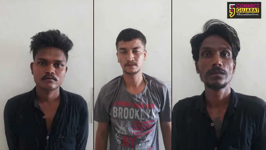 શામળાજી વિશ્રામગૃહ નજીક રોડ પરથી તમંચા સાથે 3 ઝડપાયા, 1 ફરાર