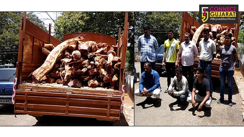 અંકલેશ્વર : ટોલ પ્લાઝા પાસે ખેરના લાકડાનો ગેરકાયદેસર લઇ જવાતો જથ્થો ઝડપાયો