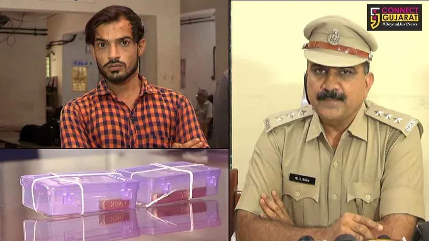 રાજકોટ : પ્ર.નગર પોલીસે ચીલઝડપ કરનાર આરોપીની કરી ધરપકડ