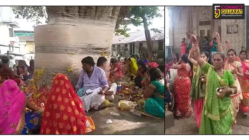 ભરૂચમાં મહિલાઓ વટ સાવિત્રીના વ્રત રાખી કરી પૂજા અર્ચના