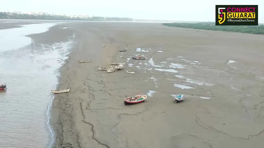 પાણીના અભાવે રૂઠી માં નર્મદા:ભરૂચના નર્મદા કાંઠે બન્યા બેટ