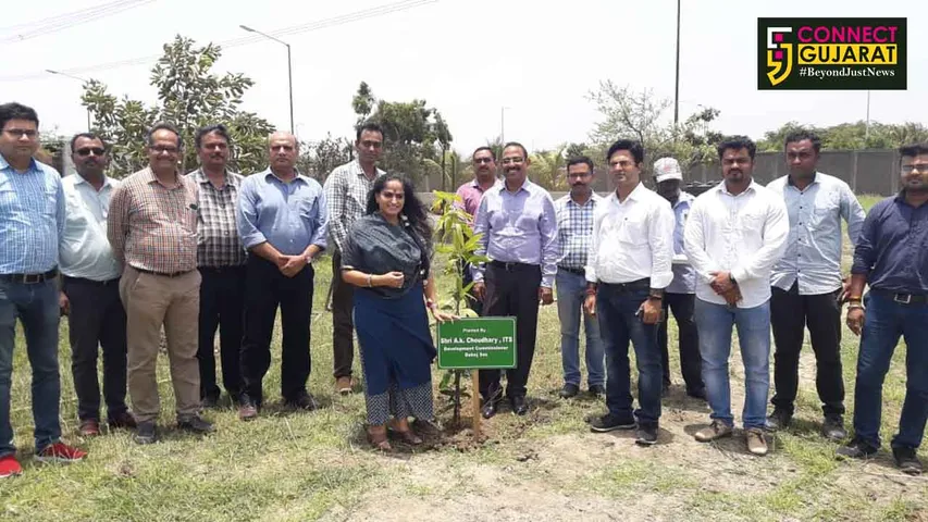 દહેજ સ્પેશ્યલ ઇકોનોમિક ઝોન માં ડેવલપમેન્ટ કમિશ્નર અને તેમના ધર્મપત્ની દ્વારા યોજાયો વૃક્ષારોપણ તેમજ સ્વચ્છતા અભિયાનનો કાર્યક્રમ