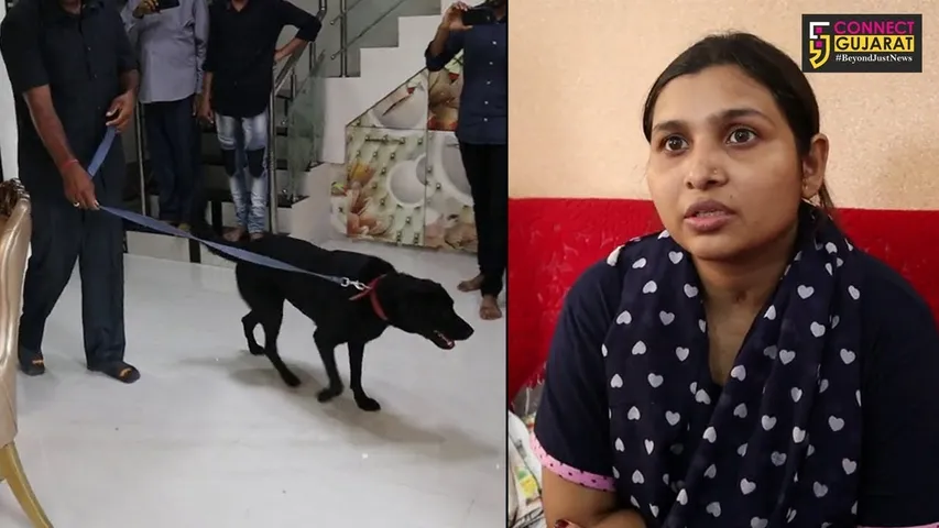 નવસારી: ભટ્ટાઇ ગામે ૭ લુંટારૂઓની ટોળકીએ પરિવારને બંધક બનાવીને ચલાવી લાખોની લૂંટ