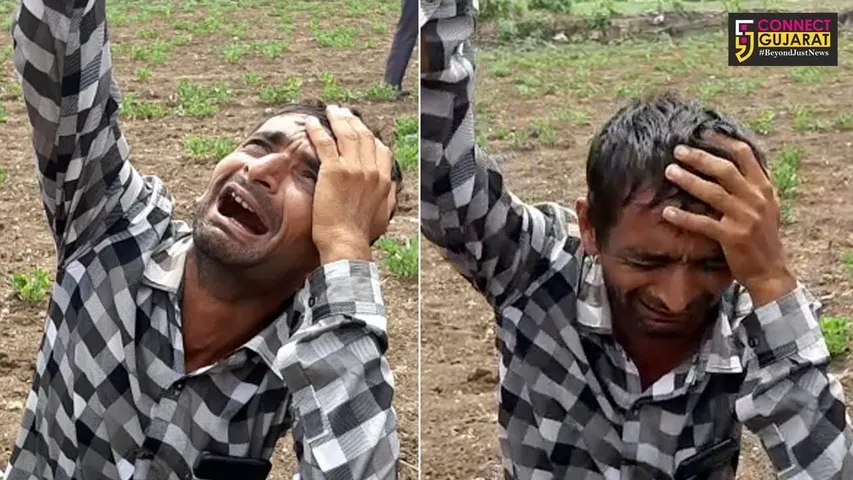 રાજકોટ જિલ્લાના સેવંત્રા ગામે ખેડૂતોએ યોજયું મગફળીનું બેસણું