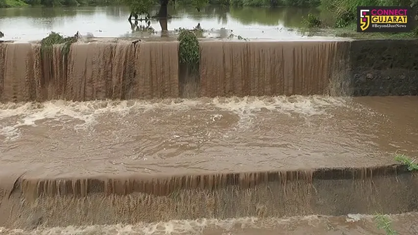 અમરેલી જિલ્લામાં મેઘમહેર: નદી નાળા છલકાયા