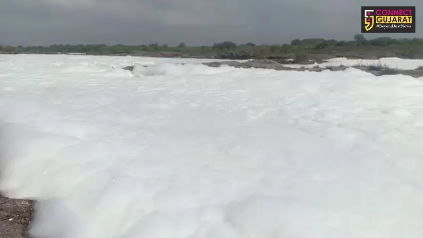 જેતપુરના ભાદર 2 ડેમના ચેકડેમોમાં જામી બરફીલી ચાદર, પ્રદુષિત પાણી ઠલવાતાં ફીણ થી સર્જાયું દ્રશ્ય