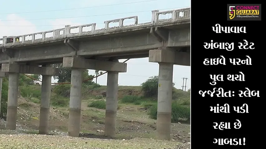 પીપાવાવ અંબાજી સ્ટેટ હાઇવે પરનો પુલ થયો જર્જરીત: સ્લેબ માંથી પડી રહ્યા છે ગાબડા!