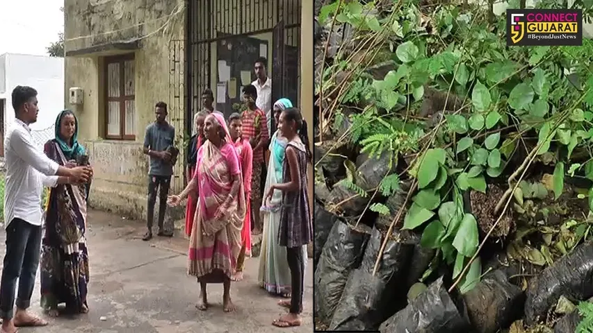 ભરૂચ તાલુકાના બોરી ગામના લોકોએ કર્યો પર્યાવરણ બચાવા નવતર પ્રયોગ