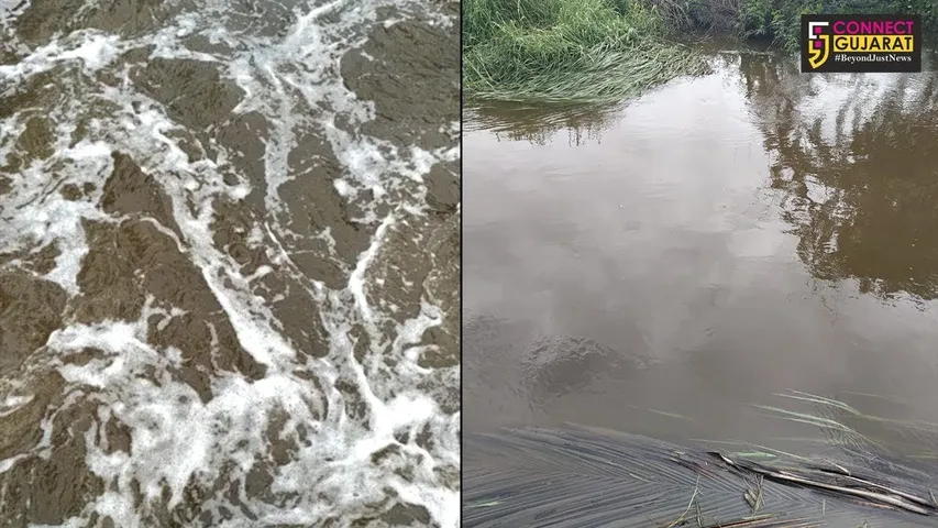 પાનોલીના ઉદ્યોગોના પ્રદુષિત પાણી દ્વારા વનખાડીને  પ્રદુષિત કરવા મુદ્દે થઈ ફરિયાદ