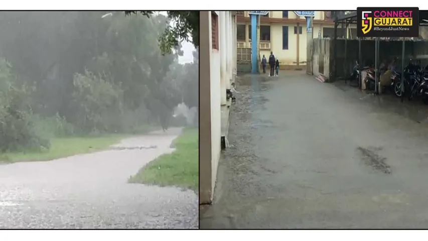 ભરૂચ જિલ્લામાં મેઘમહેર થી જળબંબાકાર