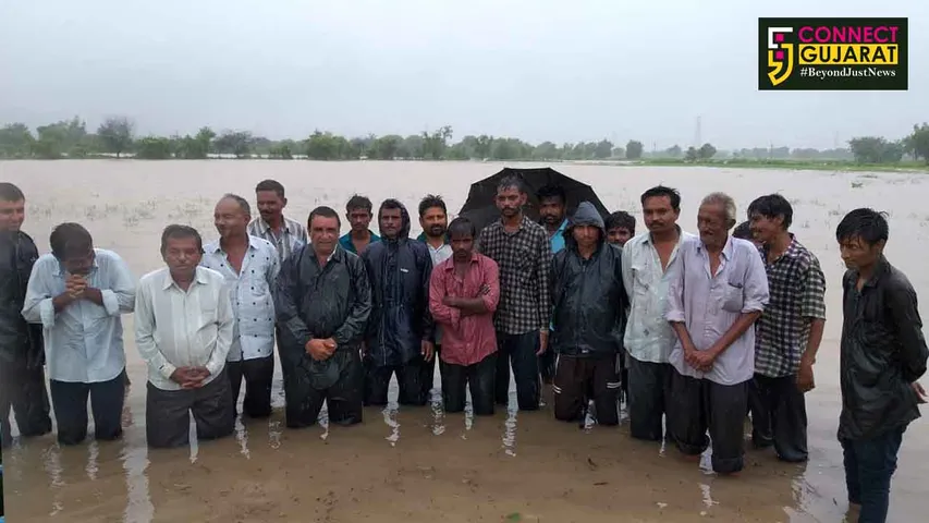 કરજણ:મિયાગામના ખેડૂતો દ્વારા અવિરત વરસી રહેલા વરસાદથી ખેતીમાં થયેલા નુકસાનનું વળતર આપવા કરી માંગ