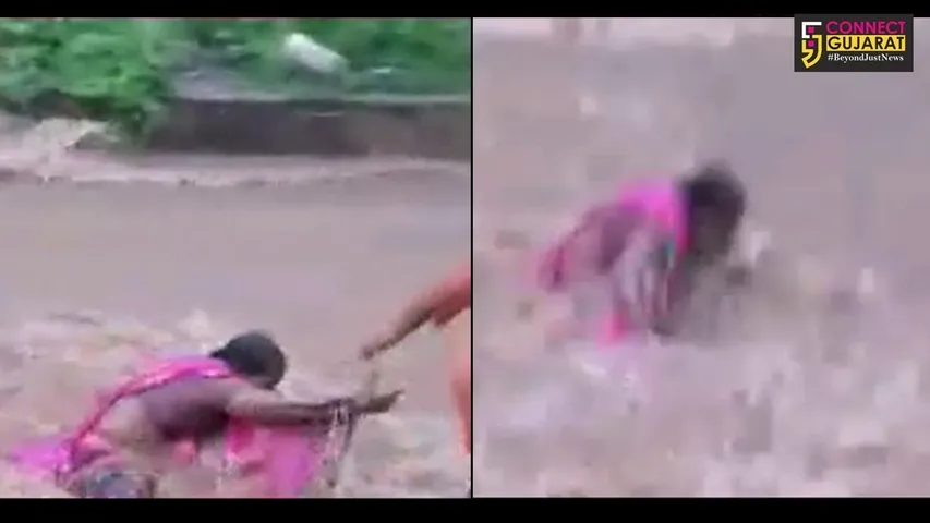 અરવલ્લી : દધાલીયા ગામે રસ્તો ઓળંગી રહેલી મહિલા પાણીમાં ખેંચાઇ