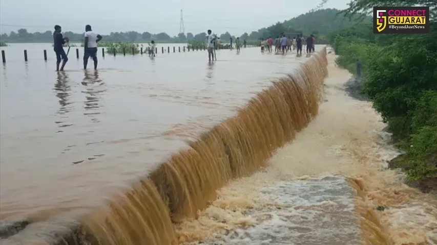 આદિવાસી વિસ્તારની જીવાદોરી સમાન બલડવા,પીંગોટ અને ધોલી ડેમ એક સાથે ઓવરફ્લો