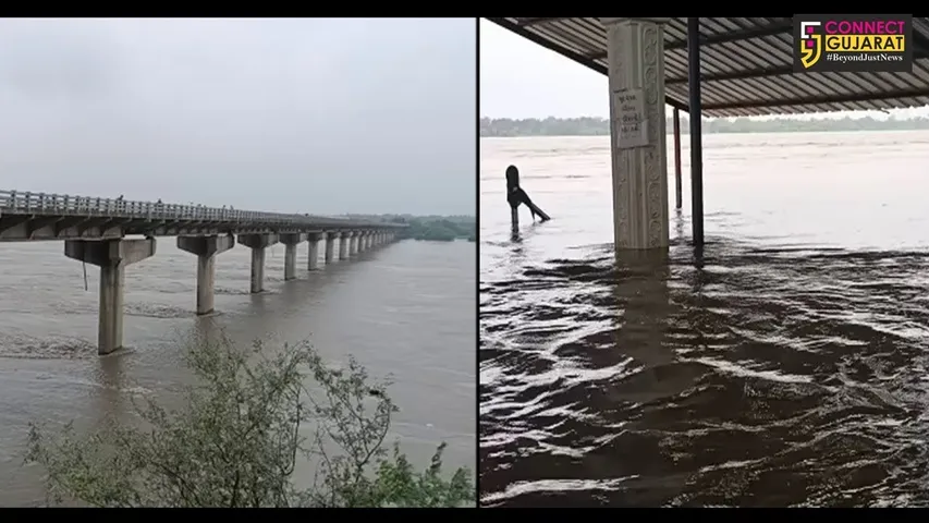 વડોદરા : મહી અને નર્મદામાં પુરથી જિલ્લાના 40થી વધુ ગામો એલર્ટ