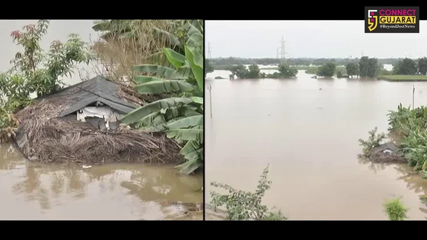 ભરૂચ : જે પાણીએ ખેડૂતોને બનાવ્યાં પાણીદાર તે જ પાણીએ કર્યા પાયમાલ
