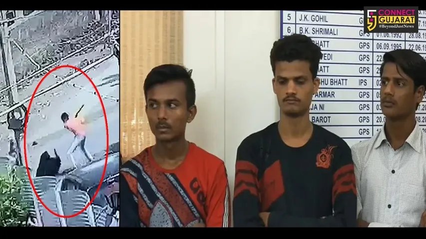 ભાવનગર : મહિલા પર હુમલો કરનારા 3 આરોપી સીસીટીવીના આધારે ઝડપાયાં