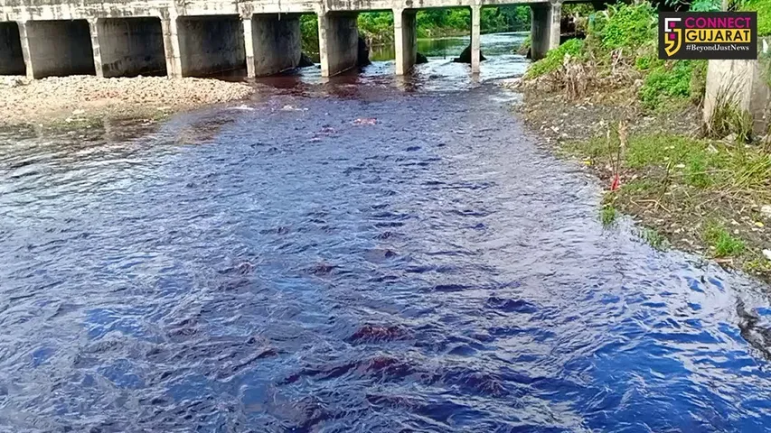 દાહોદ : દુધમતી નદીના નીર બન્યાં લાલ : અનેક જળચરોના થયા મોત