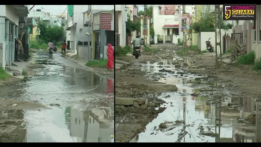 પંચમહાલ : ગોધરા શહેરમાં ગંદકીનું સામ્રાજ્ય, ડેન્ગ્યુ જેવા જીવલેણ રોગનો ભરડો