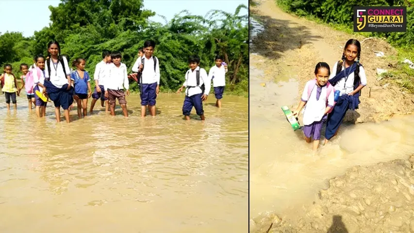 કેવી રીતે ભણશે ગુજરાત, 3 કીમી સુધી કીચડમાં ચાલી શિક્ષણનું ભાથુ મેળવવા જતાં વિદ્યાર્થીઓ