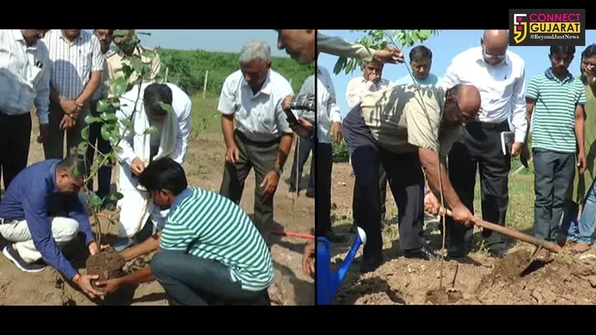 ભરૂચ : ગોલ્ડનબ્રિજથી ગડખોલ પાટીયા સુધીના 4 કીમીમાં બનશે ગ્રીન બેલ્ટ