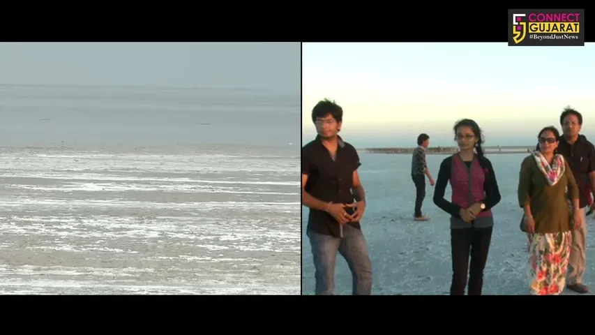 કચ્છ : રણોત્સવ પહેલા રણમાં ભરાયાં છે પાણી, પ્રવાસીઓને મળશે નિરાશા