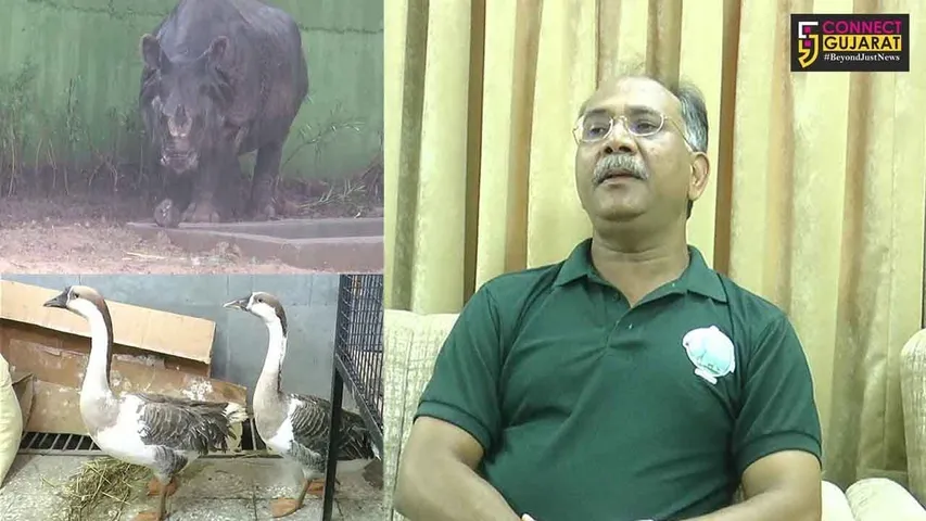 સ્ટેચ્યુ ઓફ યુનિટી પાસે બની રહેલા જંગલ સફારી પાર્કમાં વિદેશી પ્રાણી પક્ષીઓ ઓની એન્ટ્રી