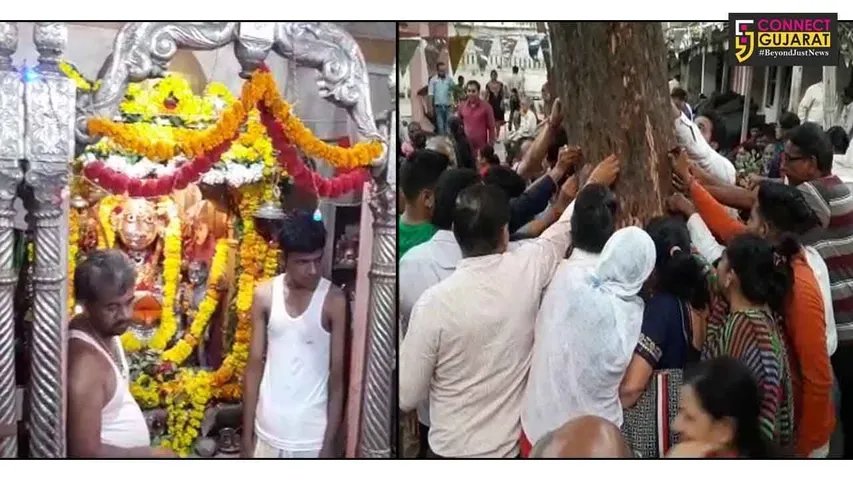 ભરૂચ : પૌરાણિક સિંધવાઇ માતાજીના મંદિરે શ્રધ્ધાળુઓએ કરી પૂજા અર્ચના 