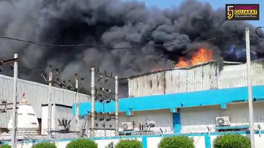 અંકલેશ્વર : એરોગ્રીન ટેક કંપનીમાં ભીષણ આગ, કોઇ જાનહાનિ નહિ