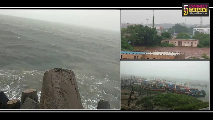 અમરેલી : મોસમનો બદલાયેલો મિજાજ, જિલ્લામાં કમોસમી વરસાદ