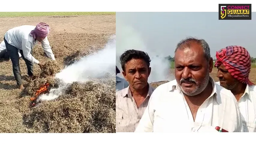 રાજકોટ : ખેડૂતોની પાક વીમાના મુદ્દે “હૈયા હોળી”, મોવૈયાના ખેડૂતે સળગાવ્યો મગફળીનો પાક
