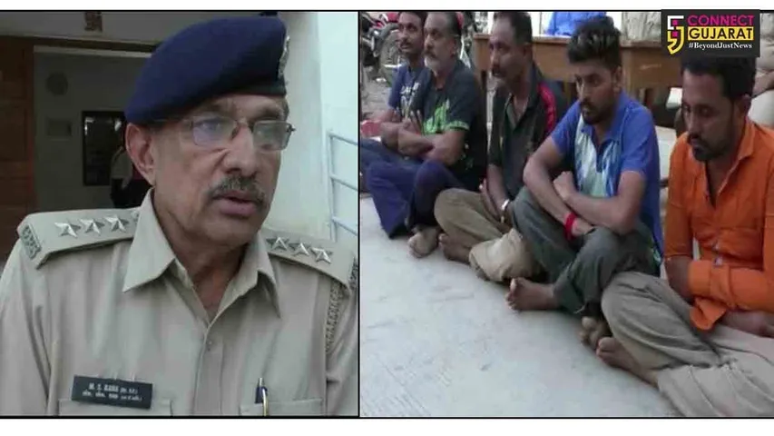 અમરેલી : રખડતા પશુઓ બાબતના ઝગડામાં બે યુવાનોની હત્યા, પાંચ આરોપી ઝબ્બે