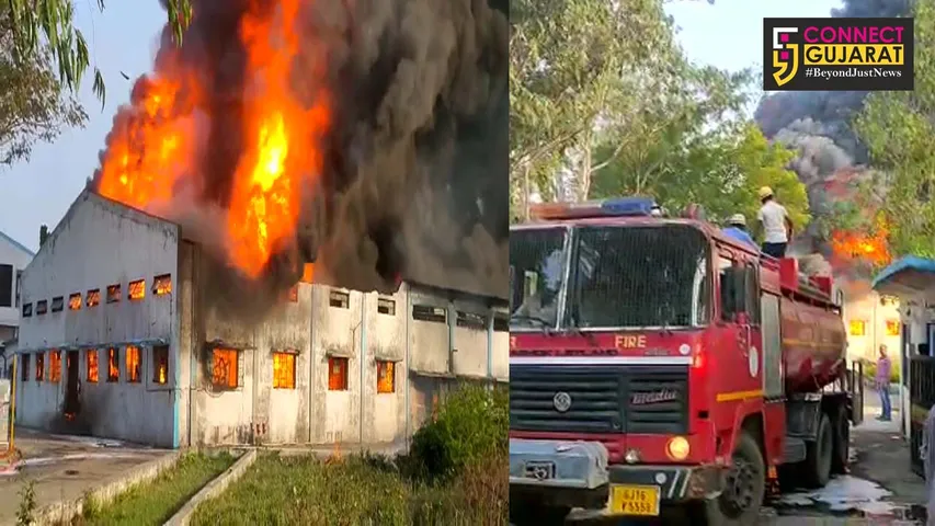 અંકલેશ્વર GIDC સર્વાઇવલ ટેક્નોલોજીના ગોડાઉનમાં લાગી ભીષણ આગ