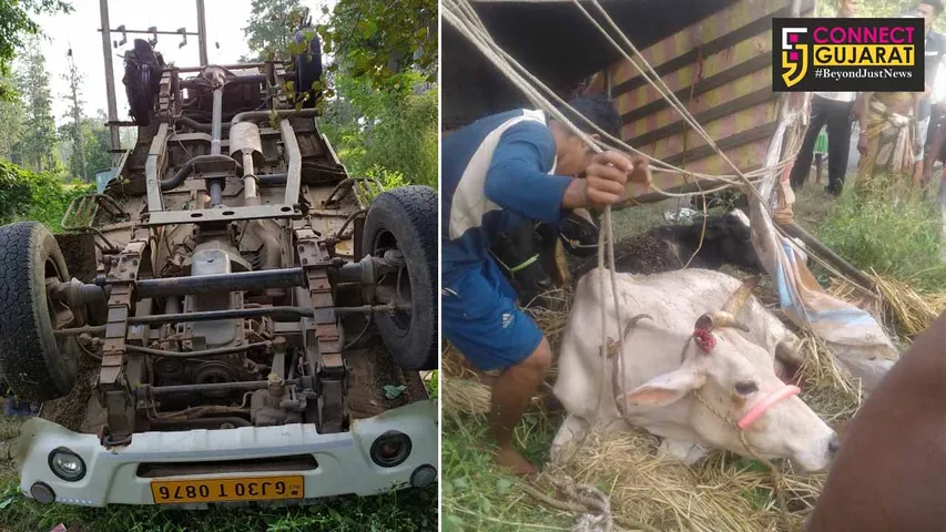 ડાંગ : વાન ચાલકે સ્ટેયરીંગ પરથી કાબુ  ગુમાવતા સર્જાયો અકસ્માત