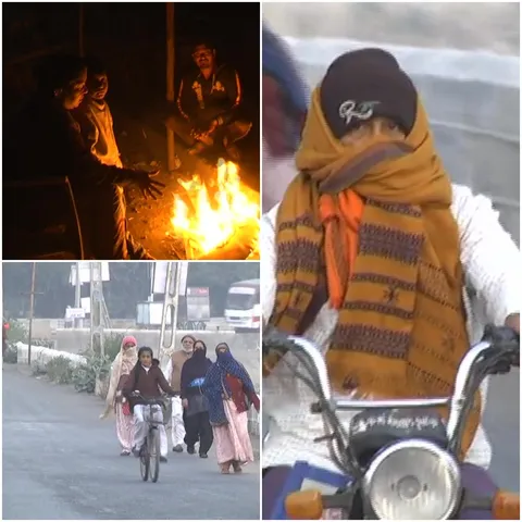 કચ્છમાં ઠંડીની ફરી થઈ જમાવટ