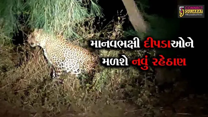 દક્ષિણ ગુજરાતમાં દીપડાઓ માટે બે સફારી પાર્ક બનશે : વન મંત્રી ગણપતસિંહ વસાવા