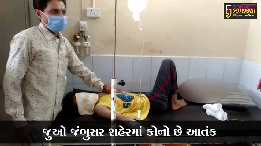 ભરૂચ : જંબુસરમાં કપિરાજે કર્યો કિશોર પર હુમલો, લોકોમાં ભયનો માહોલ