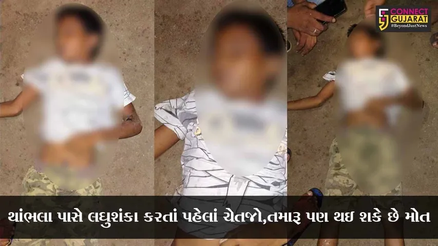 ભરૂચ : વીજથાંભલા પાસે લઘુશંકા કરી રહેલાં બાળકનું મોત, જુઓ કયાં વિસ્તારમાં બની ઘટના