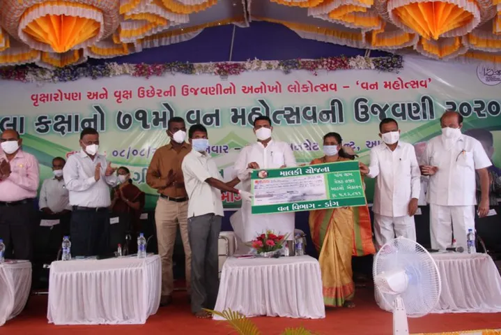 ડાંગ : વન મહોત્સવ દરમ્યાન 6 લાખ રોપાઓના વાવેતર સાથે માલિકી યોજનાના ખાતેદારોને રૂ. 51 લાખથી વધુના ચેક અર્પણ કરાયા
