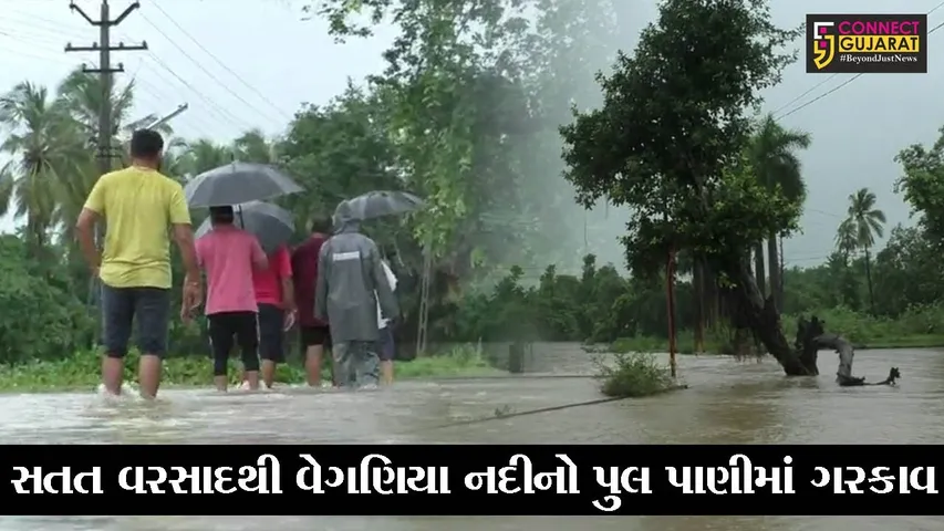 નવસારી : વેગણિયા નદીનો પુલ પાણીમાં ગરકાવ થતાં અનેક પરિવારોનો સંપર્ક તૂટ્યો, બાગાયતી પાકોને નુકશાન