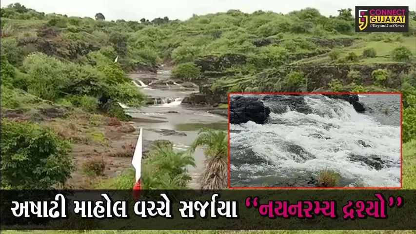અમરેલી: ગીરના જંગલોમાં પ્રકૃતિ સોળેકળાએ ખીલી ઉઠી, જુઓ લીલાછમ જંગલોની વચ્ચેથી વછૂટતા ધોધનો નજારો