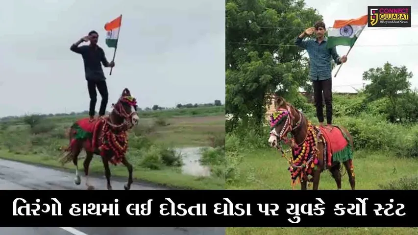 અમરેલી : પુરપાટ ઝડપે દોડતા ઘોડા ઉપર ઉભા રહી યુવકે આપી રાષ્ટ્રધ્વજને સલામી, દિલધડક સ્ટંટનો વિડિયો થયો વાઇરલ