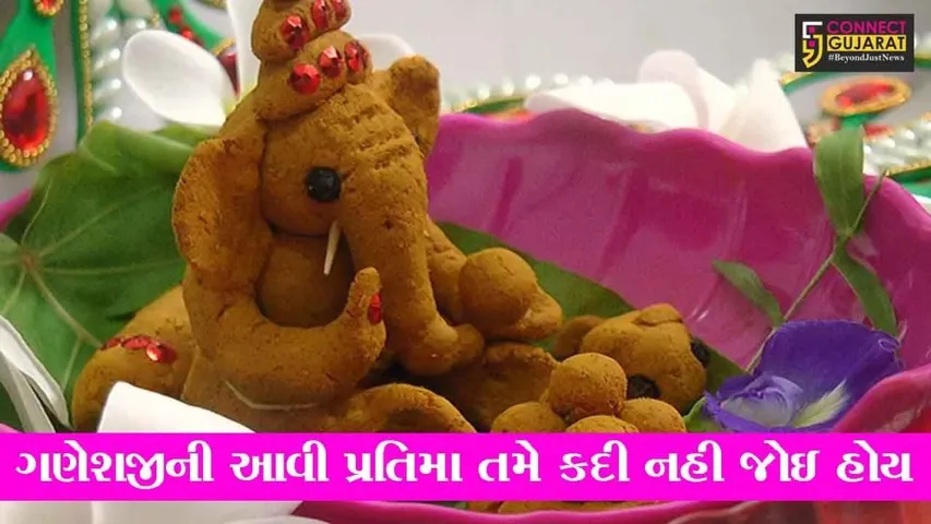 ભરૂચ : હળદર અને સુંઠના પાવડરમાંથી શ્રીજીની પ્રતિમા, જુઓ કેમ બનાવી આવી પ્રતિમા