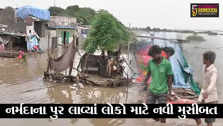 ભરૂચ : નર્મદા નદીના કિનારે આવેલાં સ્મશાનો પાણીમાં ગરક, અંતિમ સંસ્કાર માટે જોવી પડે છે રાહ