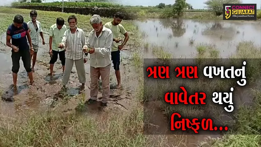 રાજકોટ : ઉપલેટાના ગઢાળા ગામે વરસાદ બન્યો આફત, ખેતીને વ્યાપક નુકશાન