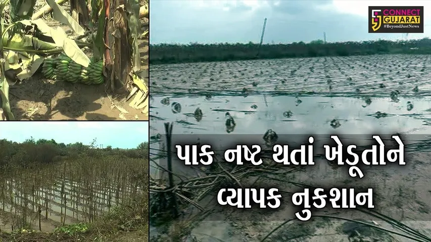 નર્મદા : નદી કાંઠા વિસ્તારના 24 ગામોની સિમમાં ભરાયેલું પાણી ઓસર્યું, પાક નષ્ટ થતાં ખેડૂતોને વ્યાપક નુકશાન